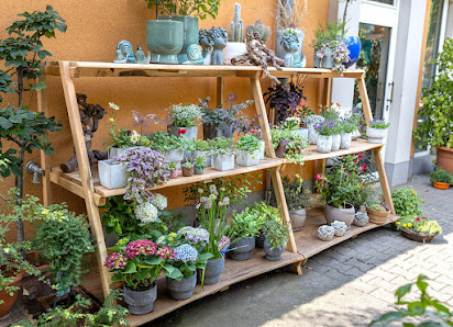 Blumenhalle Böhme