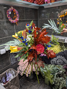 Blumenhalle Böhme