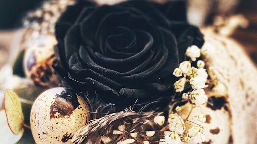 Die Blumenstube