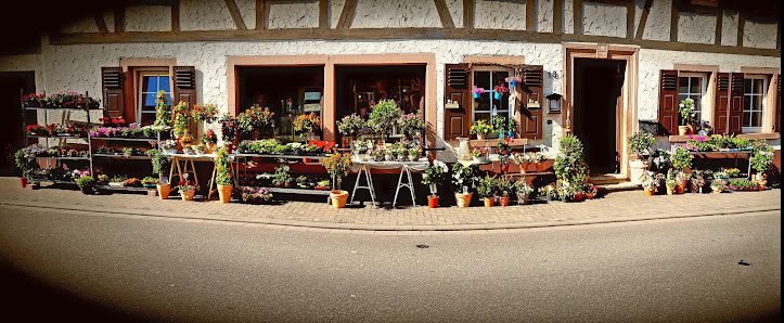 Die Blumenstube