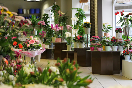 Blumen Germer