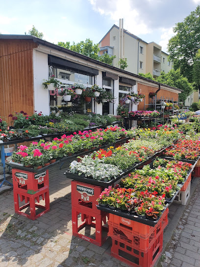 Blumen Kim