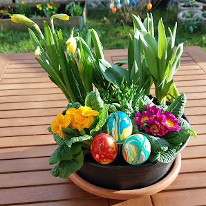Blumen Kim