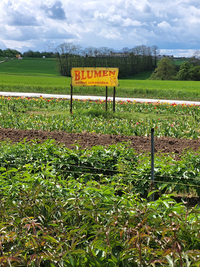 Blumen selbst schneiden / blumen_by_berges