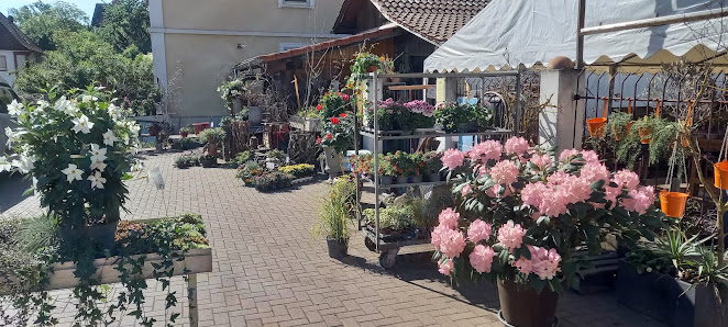 Casa Verde Blumenstation