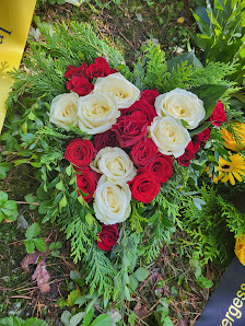 Blumen Plotz