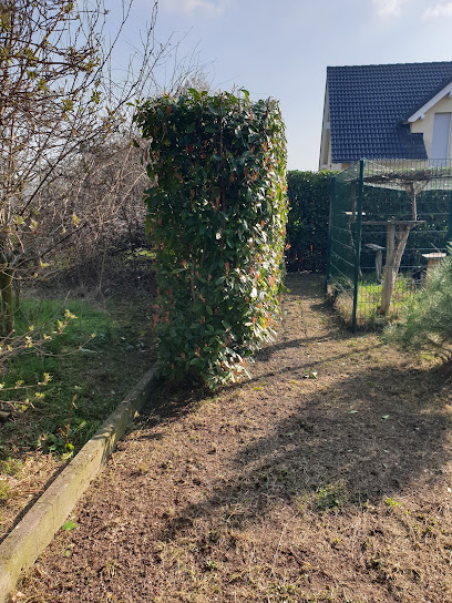 Gartenbauer