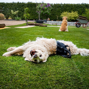 WESSA:GRÜN Garten & Landschaftsbau
