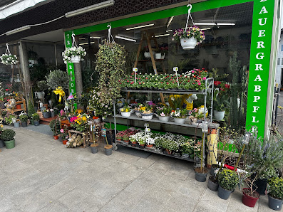 Blumenhaus Schimmel