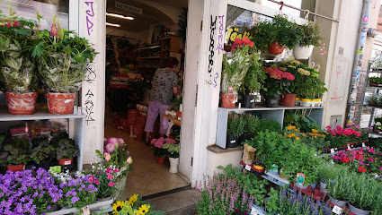 Blumenladen und Sonstiges