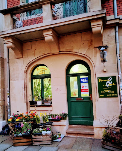 Neustadt