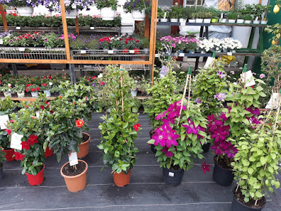 Blumen Akgün