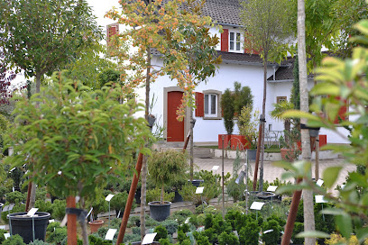 Baumschule