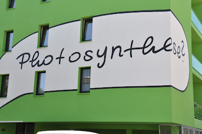 Zimmerpflanzenservice in Bodenheim