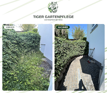 Tiger-Gartenpflege