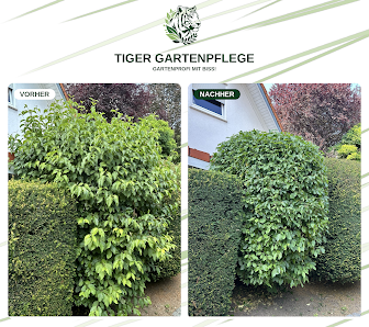 Tiger-Gartenpflege