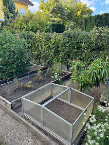 Tiger-Gartenpflege