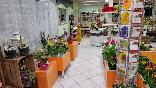 Blumenhaus Neitsch