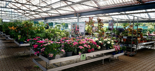 Dehner Garten-Center