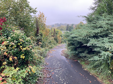 Baum- und Landschaftspflege Tino Fath
