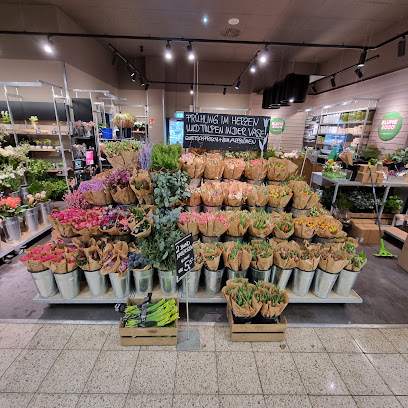 BLUME2000 Dillingen