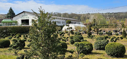 Baumschule