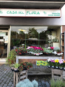 Blumen Casa Del Flora und Postagentur Inh. Petra Warken