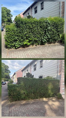 AS Garten Service Konzept 24