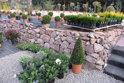 Gartenbau Jochen Moses
