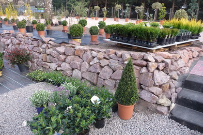 Gartenbau Jochen Moses