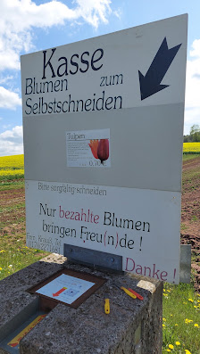 Blumen selber schneiden