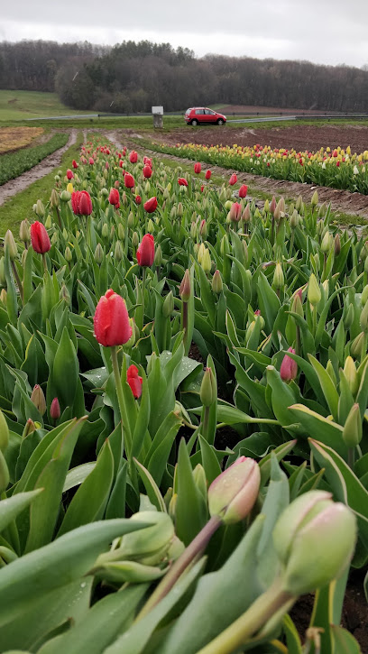 Blumengeschäft