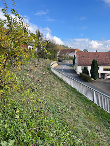 GreenCut Langenscheidt