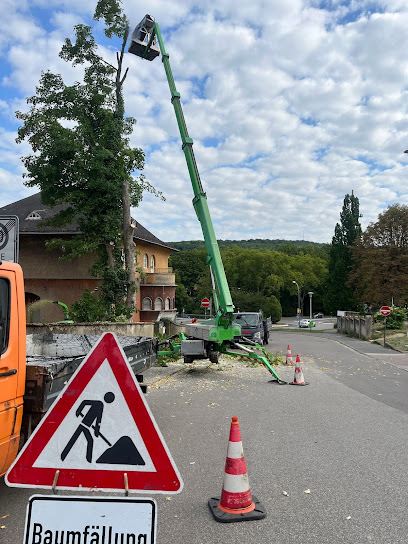 GreenCut Langenscheidt