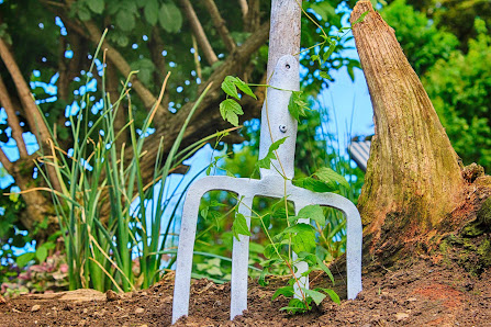 Der Gartenberater