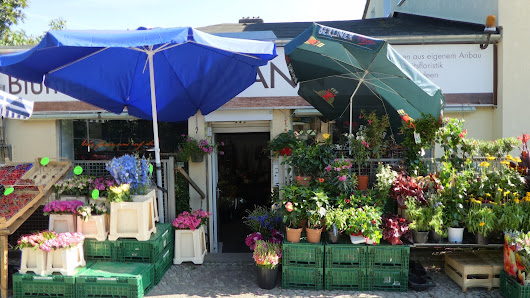 Blumenhaus Kamann