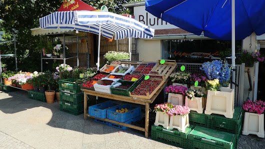 Blumenhaus Kamann