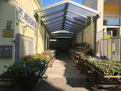Blumenladen P & A Grünpflanzen undTrockenfloristik