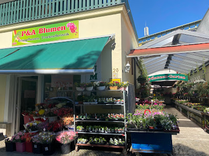 Blumenladen P & A Grünpflanzen undTrockenfloristik