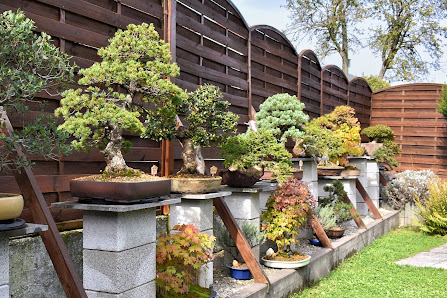 Bonsai-Garten-Müller