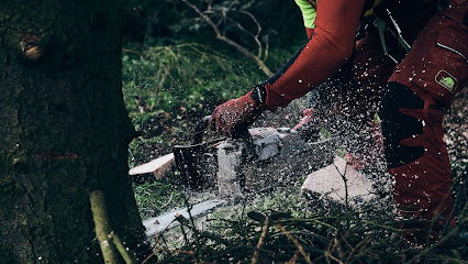 Betrieb für Baumarbeiten in Nalbach