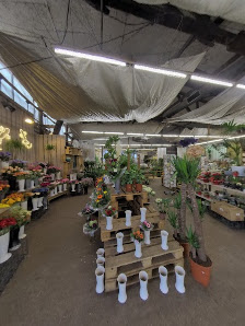 Blumen Dohrmann GmbH