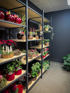 Die Blumengeschwister