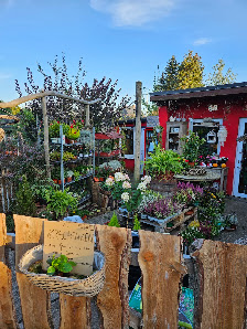 Blumen Wunderlich