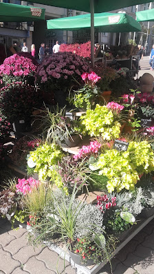 BLUME2000 Plauen