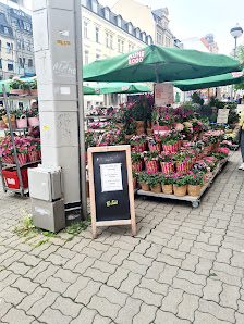 BLUME2000 Plauen
