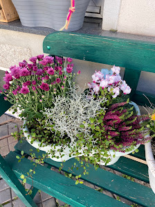Blumenliebe Tausendschön