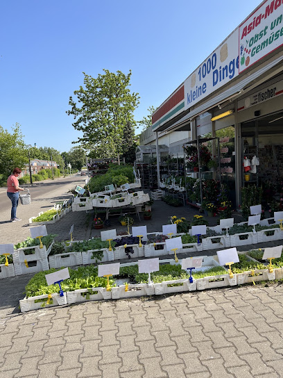 HH Blumen und Pflanzen