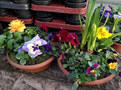 Gartenbau Dietze