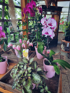 Blumenpavillion Wilke